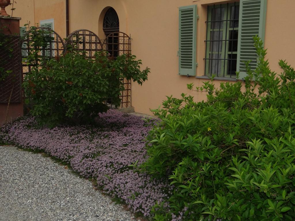 B&B Il Quadrifoglio Sciolze Exteriör bild